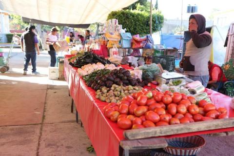Tianguis en Metepec imagen 9