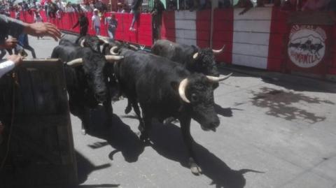 Dos lesionados por toros saldo preliminar de La Huamantlada