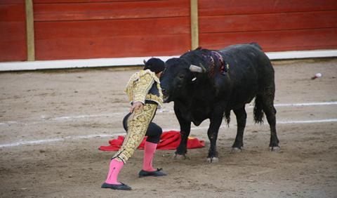 Foto Esimagen Foto Esimagen