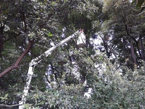 Intensifican trabajos preventivos para evitar daños mayores por lluvias en Totolac imagen 2