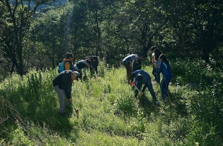 Rebasa la UATx meta de reforestación en el cerro Cuauhtzin imagen 2
