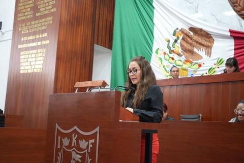 Propone Reyna Flor Báez Lozano reformar Ley de Entidades Paraestatales del Estado de Tlaxcala imagen 3