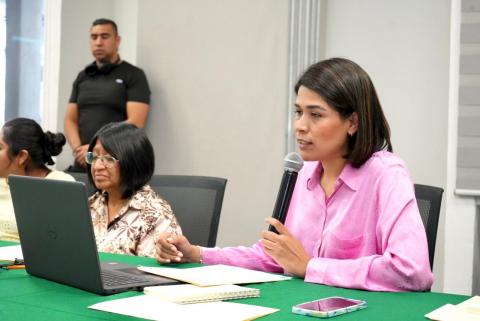 Inicia Diana Torrejón curso sobre marco jurídico aplicable en asilo en México imagen 3