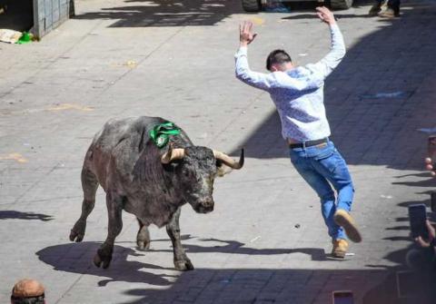 Emoción pura en la tradicional “Huamantlada” que celebra su edición número 70 imagen 4