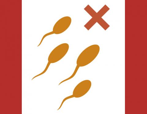 Invita el IMSS a la segunda jornada de vasectomías