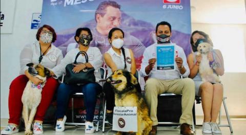 SAGA recibe agenda de Colitas Felices en pro del bienestar animal