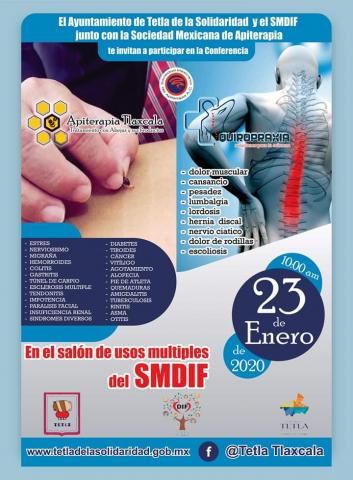 Ofrece DIF de Tetla conferencia de Apiterapia imagen 2