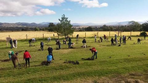 Reforestan con flora endémica el área perimetral del Museo de Sitio de Zultépec-Tecoaque imagen 6