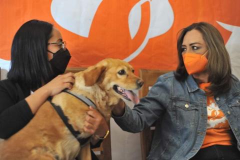 Anuncia Eréndira Jiménez 5 compromisos para la Agenda de Bienestar Animal imagen 3