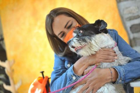 Anuncia Eréndira Jiménez 5 compromisos para la Agenda de Bienestar Animal imagen 2