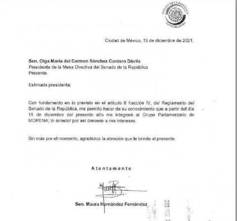 Simpatizante de Miriam Martínez se une a Morena para convenir sus intereses imagen 2