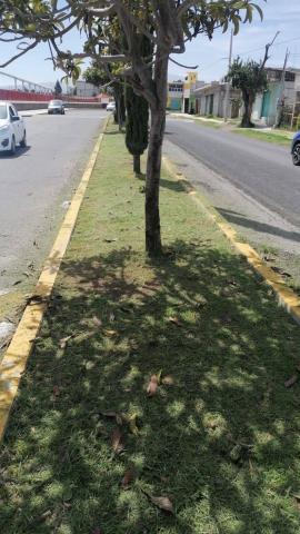 Realiza Ayuntamiento de Chiautempan trabajos de imagen urbana en Recinto Ferial y calles aledañas imagen 7