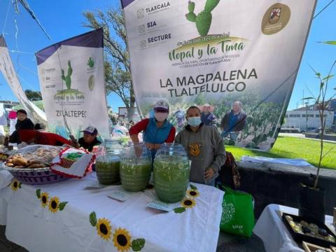 Inauguran en Chiautempan Cuarta Edición del “Día del Nopal y la Tuna 2022” imagen 12