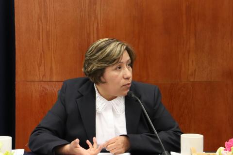 Homicidios y robo de automóviles en declive, resalta Ernestina Carro Roldán