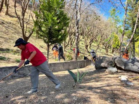 Poda y limpia Ayuntamiento de Tlaxcala Av Puebla para recibir mejor al turismo imagen 5