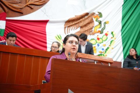 Propone Soraya Bocardo Phillips ampliar protección penal del feminicidio