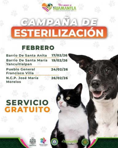 Concluye con éxito jornada de esterilización en Chapultepec e invitan a próximas jornadas imagen 4