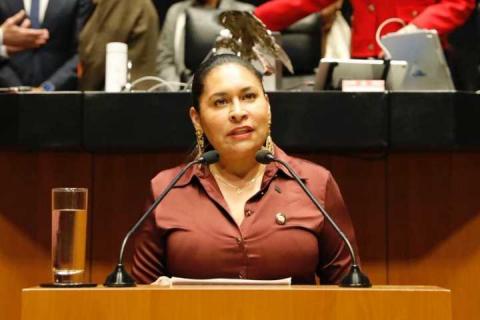 Avala Senado dictamen para fortalecer la defensa nacional y la cooperación internacional de México imagen 10