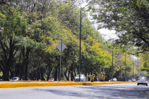 Supervisa Alcalde acciones en el Bulevar de la Carretera Puebla-Tlaxcala imagen 8