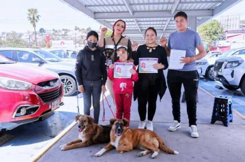 Mediante jornadas “Adogtame”, 91 perritos rescatados encuentran hogar imagen 7