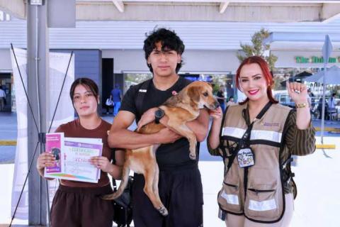 Mediante jornadas “Adogtame”, 91 perritos rescatados encuentran hogar imagen 4