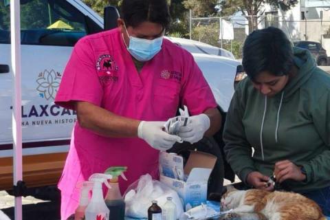 Amplían jornada de bienestar animal y llegará el 18 de Marzo a San Lucas Cuauhtelulpan imagen 3