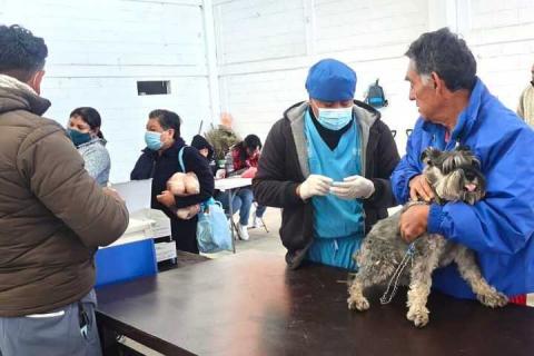 En acción coordinada se pondrán en marcha campaña nacional de vacunación antirrábica canina y felina imagen 1