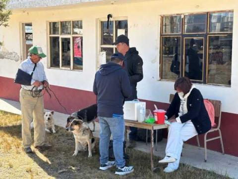Avanza Tlaxco en la prevención de la rabia con jornada de vacunación. imagen 2