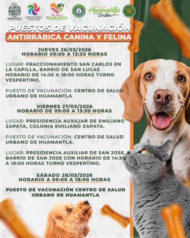 Tendrá Huamantla jornada de vacunación antirrábica canina y felina imagen 1