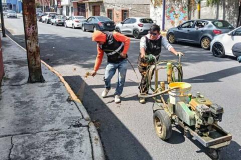 Se realizan trabajos de pintura, balizamiento en guarniciones y banquetas de la avenida Juárez imagen 5