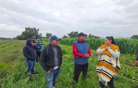 Ana Lilia Rivera reivindica al campo tlaxcalteca como una de las mayores fortalezas de México imagen 1
