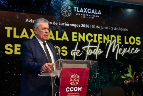 Más de 12 mil docentes participarán en la fase intensiva virtual del consejo técnico escolar imagen 4