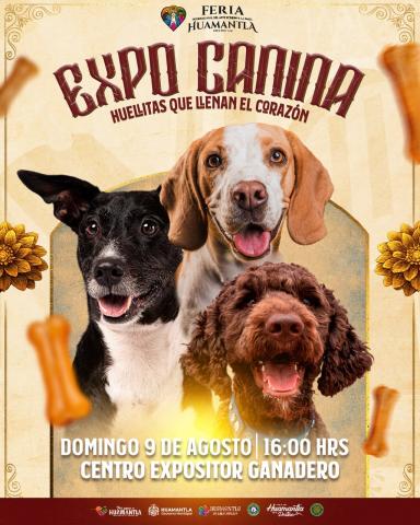 Expo Canina “Huellitas que Llenan el Corazón” llegará a la Feria de Huamantla 2026