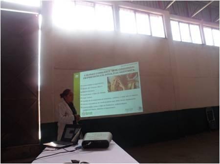 Reciben adultos mayores del municipio de Xaloztoc plática sobre autoestima imagen 6