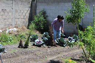 Pequeños productores de huertos son beneficiados con herramienta imagen 2