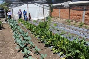 Pequeños productores de huertos son beneficiados con herramienta imagen 3