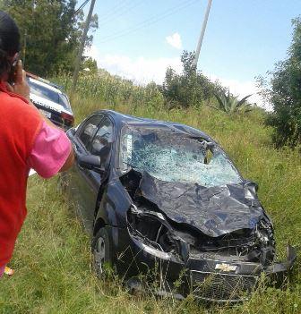 Yegua destroza vehículo y muere tras recibir fuerte impacto imagen 1