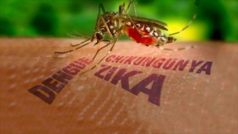 En Tlaxcala no hay reporte del virus Zika