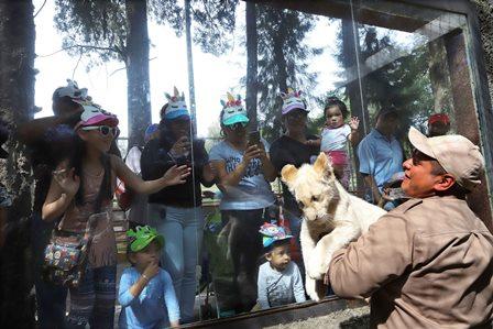 Durante 2018 zoológico de Tlaxcala registró más de 394 visitantes