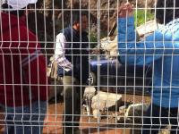 Click para ampliar...