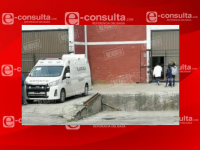 Foto cortesía Nexostxt