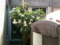 Click para ampliar...