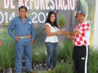 Click para ampliar...