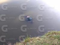 Foto Cortesía El Griton